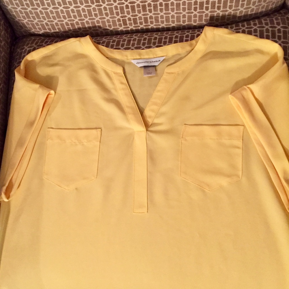 Christopher and Banks ladies dress shirt